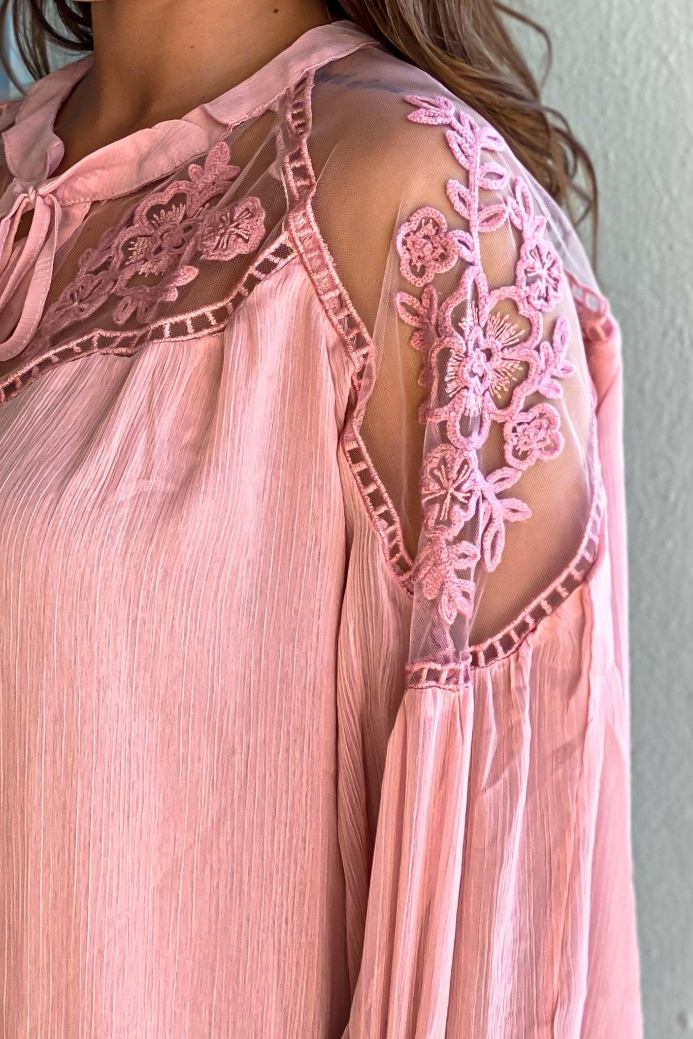 Fall-Friendly Blush Sheer Crochet Neck Long Sleeve Top